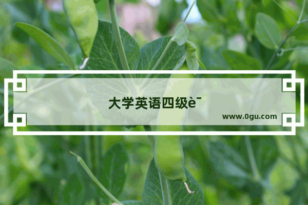 大学英语四级词汇高频单词