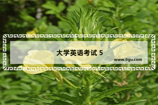大学英语考试 5 级考什么