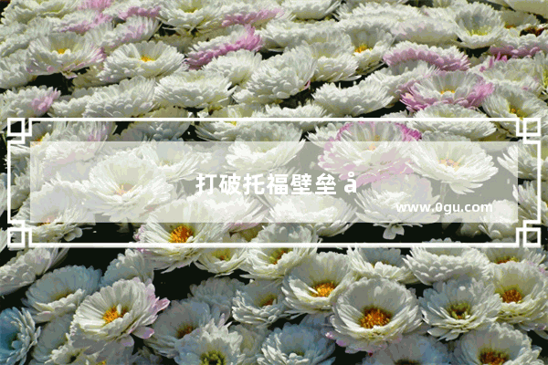 打破托福壁垒 开启美本梦想之旅