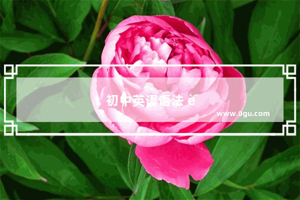 初中英语语法 轻松掌握基础