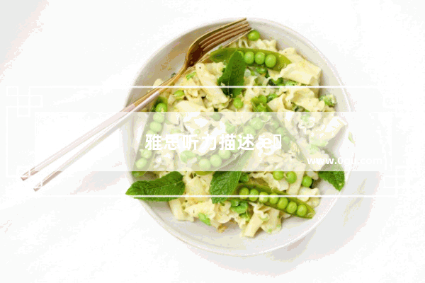 雅思听力描述技巧