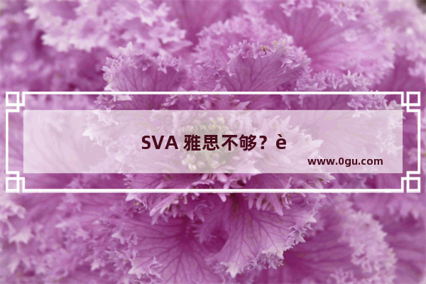 SVA 雅思不够？这些方法可以帮到你！