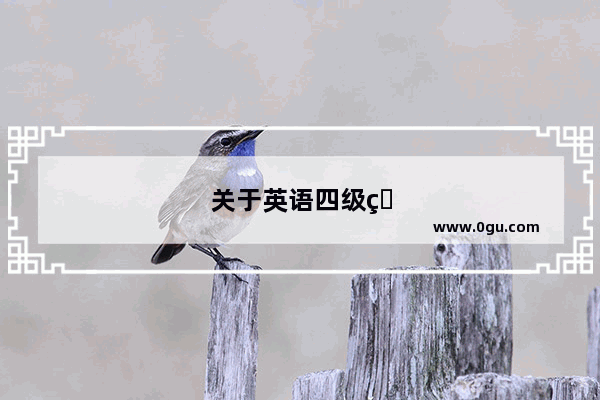 关于英语四级的导师点评