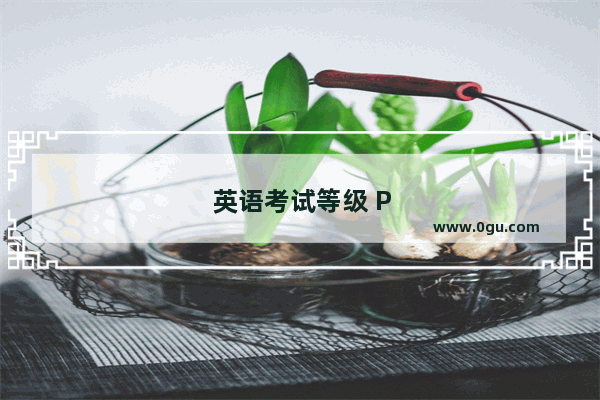 英语考试等级 P 级是什么？