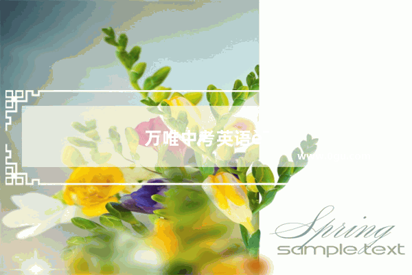 万唯中考英语语法使用