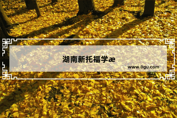 湖南新托福学校 为你的留学梦想助力