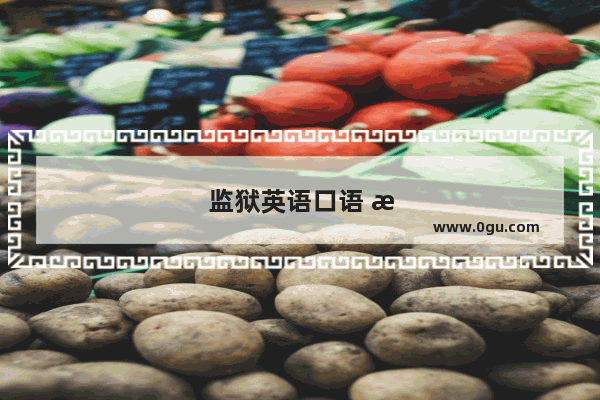 监狱英语口语 打破语言障碍 促进罪犯改造