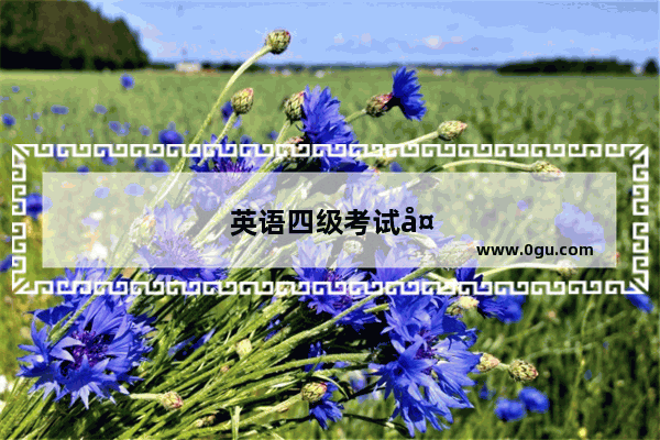 英语四级考试备考攻略