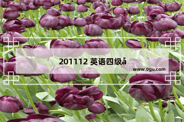 201112 英语四级听力考试 技巧与策略