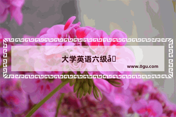 大学英语六级后学什么语种好？