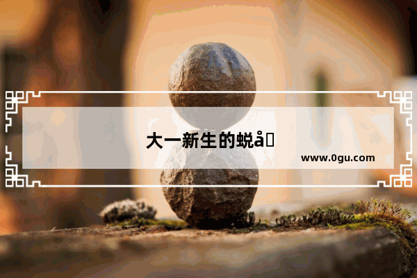 大一新生的蜕变之路