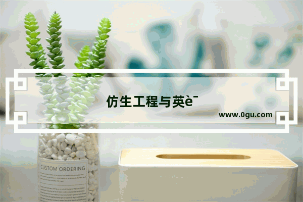 仿生工程与英语四级