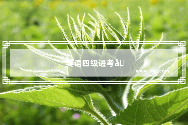 英语四级进考场方式