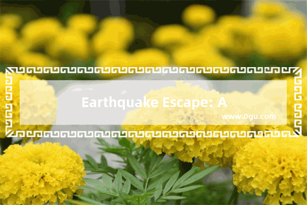 Earthquake Escape: A高中英语作文