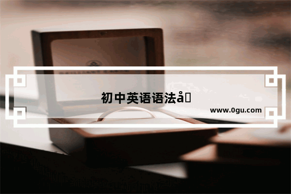 初中英语语法基础训练
