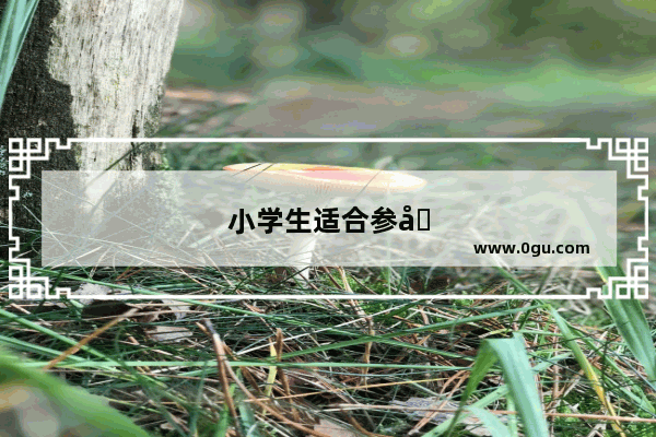 小学生适合参加哪些英语考试？