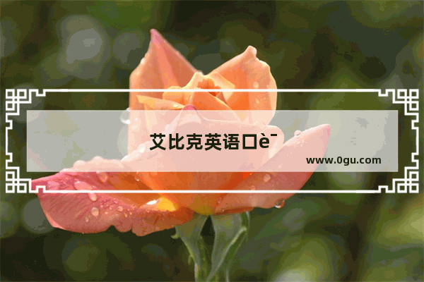艾比克英语口语 打破语言障碍 开启国际交流之旅
