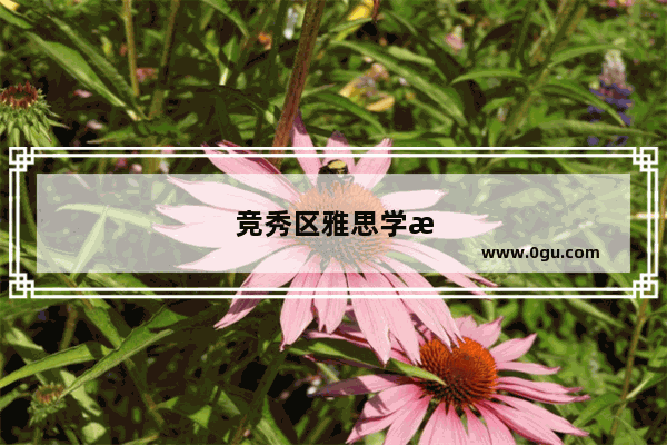 竞秀区雅思学校哪家好？