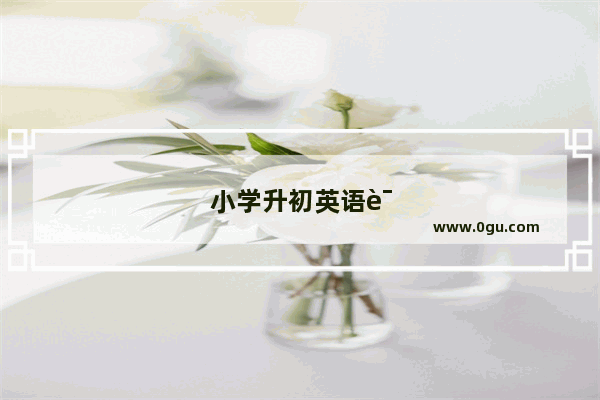 小学升初英语试卷