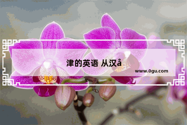 津的英语 从汉字到英文的探索