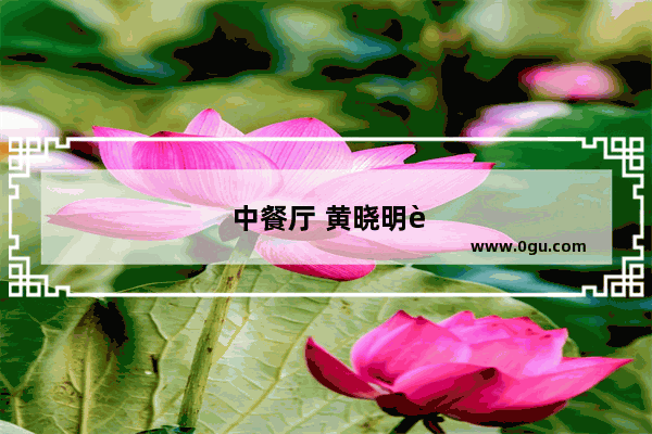 中餐厅 黄晓明英语不错的背后