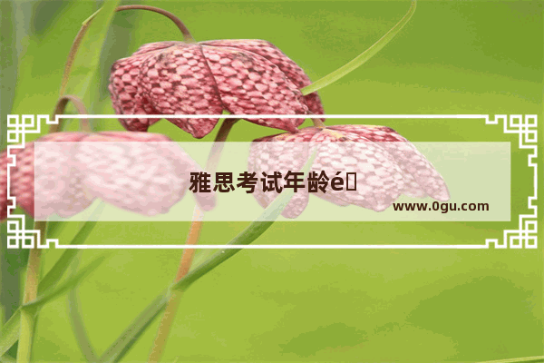 雅思考试年龄限制及相关建议