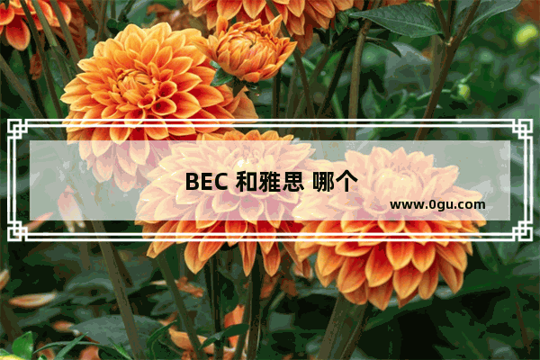 BEC 和雅思 哪个更值得考？
