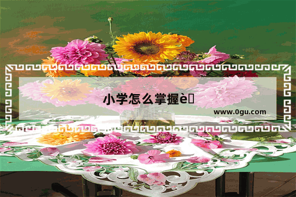 小学怎么掌握英语