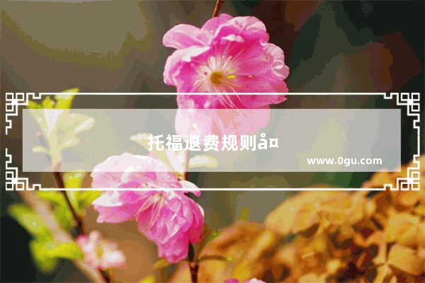 托福退费规则大揭秘！