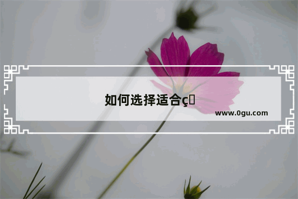 如何选择适合的少儿英语品牌加盟？