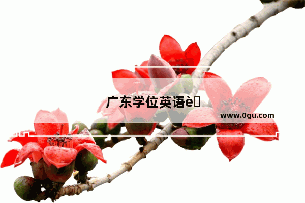 广东学位英语考试是否包含听力部分？