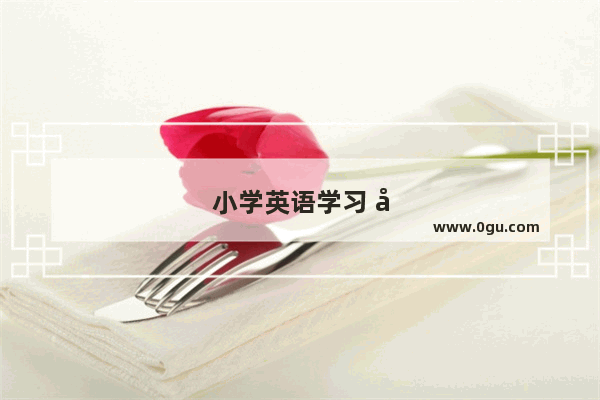 小学英语学习 培养兴趣与方法并重