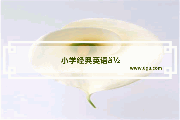 小学经典英语作文