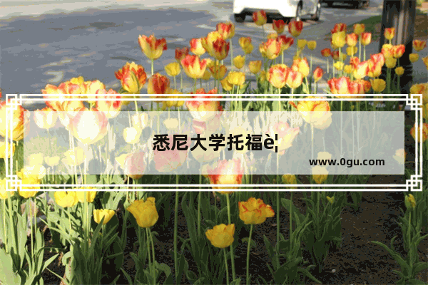 悉尼大学托福要求及录取条件解析