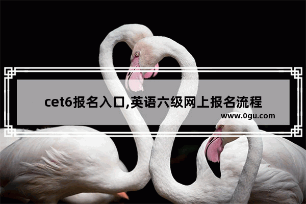 cet6报名入口,英语六级网上报名流程
