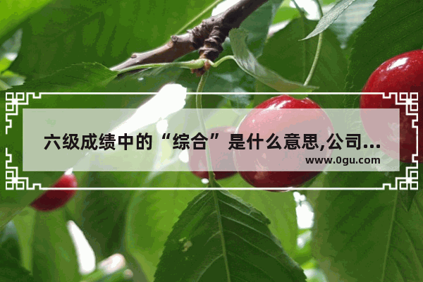 六级成绩中的“综合”是什么意思,公司英语六级