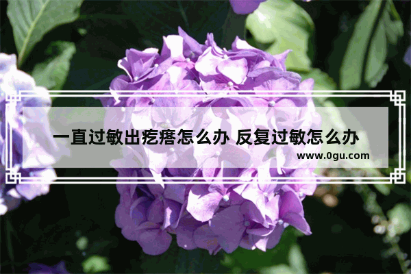 一直过敏出疙瘩怎么办 反复过敏怎么办
