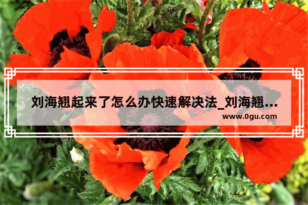 刘海翘起来了怎么办快速解决法_刘海翘起来了 怎么压下去