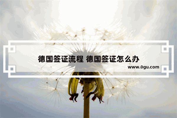 德国签证流程 德国签证怎么办