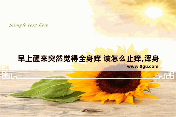 早上醒来突然觉得全身痒 该怎么止痒,浑身发痒怎么办