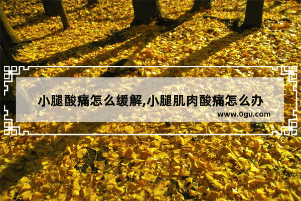 小腿酸痛怎么缓解,小腿肌肉酸痛怎么办