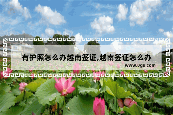 有护照怎么办越南签证,越南签证怎么办
