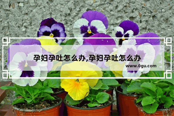 孕妇孕吐怎么办,孕妇孕吐怎么办