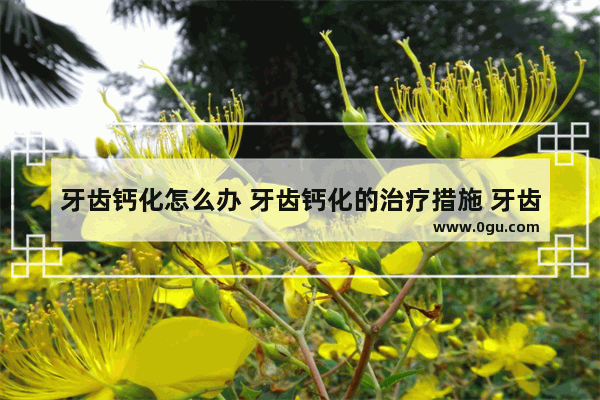 牙齿钙化怎么办 牙齿钙化的治疗措施 牙齿钙化怎么办