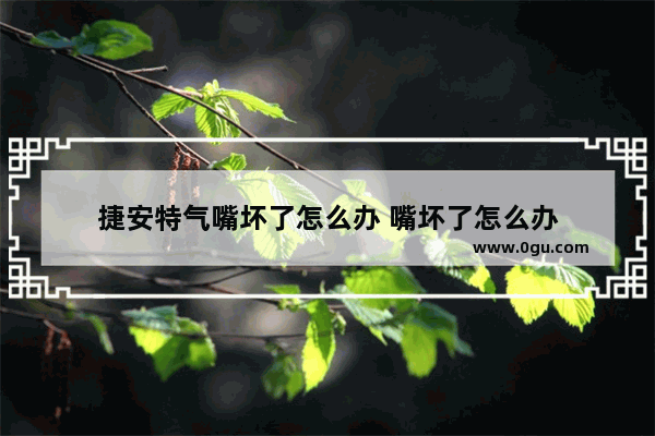 捷安特气嘴坏了怎么办 嘴坏了怎么办