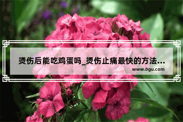 烫伤后能吃鸡蛋吗_烫伤止痛最快的方法是怎么办