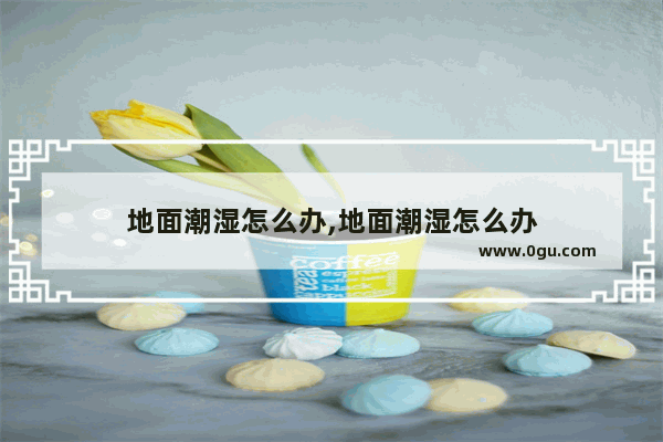 地面潮湿怎么办,地面潮湿怎么办