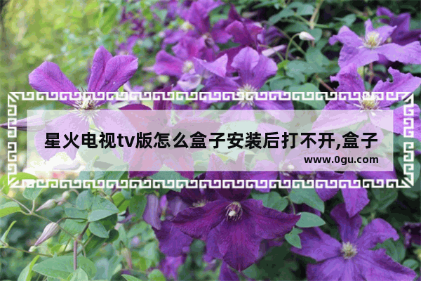 星火电视tv版怎么盒子安装后打不开,盒子打不开怎么办