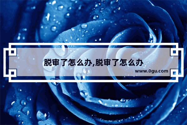 脱审了怎么办,脱审了怎么办