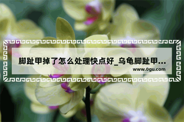 脚趾甲掉了怎么处理快点好_乌龟脚趾甲掉了怎么办